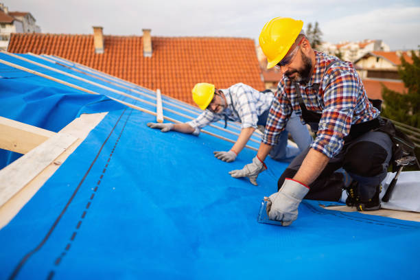 Roof Gutter Cleaning in Edgemont Park, MI