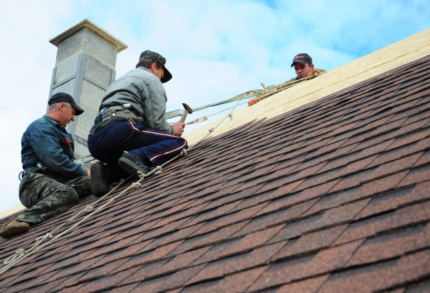 Best Roof Repair Services  in Edgemont Park, MI