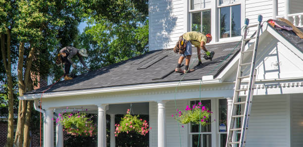 Best Roof Maintenance Services  in Edgemont Park, MI
