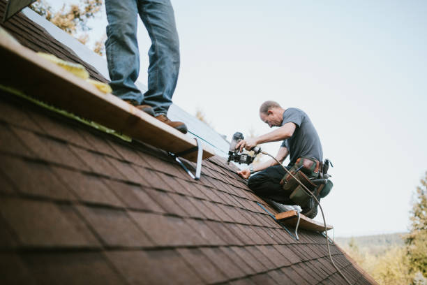 Best Roof Repair Services  in Edgemont Park, MI