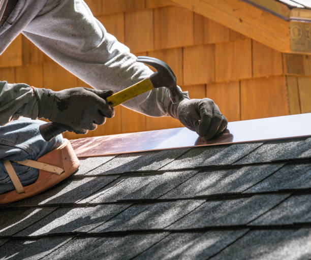 Best Roof Repair Services  in Edgemont Park, MI
